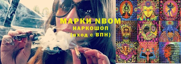молекула духа Богородицк