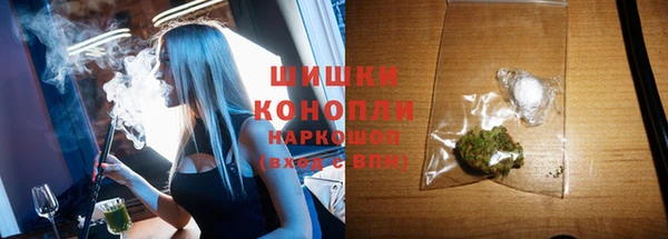 молекула духа Богородицк