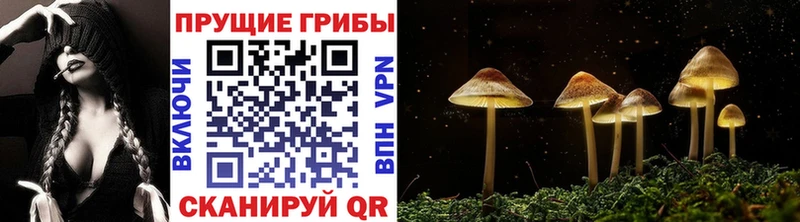 blacksprut вход  дарк нет состав  Морозовск  Галлюциногенные грибы ЛСД  цены наркотик 